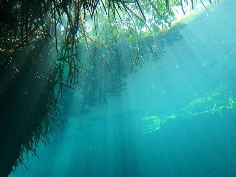 DIVING IN MAYAN CENOTES; THE LARGEST AQUIFER IN THE WORLD - Who Will Love This Tour?