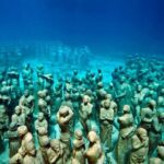 Diving + Muse - A Detailed Review of the "Diving + Muse" Tour