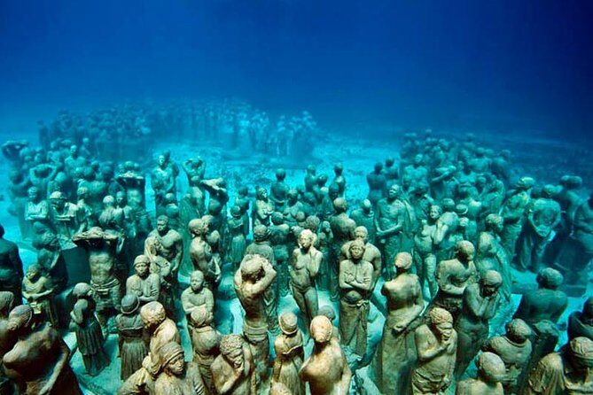 Diving + Muse - A Detailed Review of the "Diving + Muse" Tour