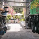 Diving with PADI 5 Star CDC Diving Resort Isola Bella Marine Park Taormina - FAQs