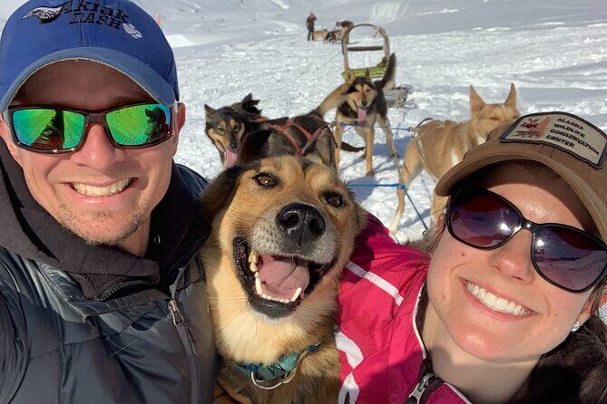 Dog Sledding Adventure in Willow, Alaska - Authenticity, Value, and What You’ll Take Home