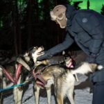 Dog Sledding and Northern Lights Combo Night - FAQ
