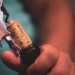 Dogliani: Tasting of 7 Wines in the Heart of the Langhe - The Value and Practical Considerations