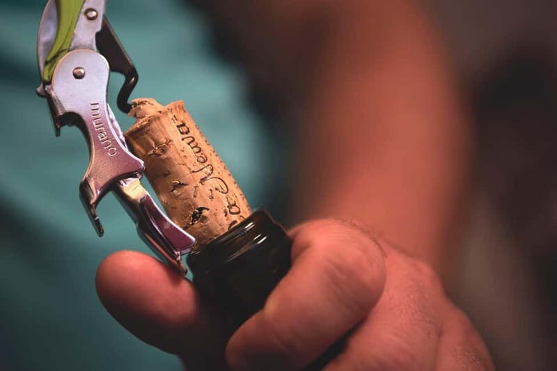 Dogliani: Tasting of 7 Wines in the Heart of the Langhe - The Value and Practical Considerations