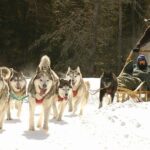 Dogsled Adventure in Mont-Tremblant - Is This Tour Right for You?