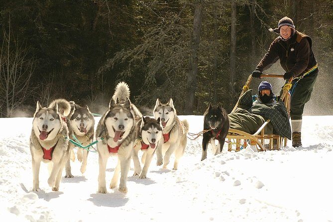 Dogsled Adventure in Mont-Tremblant