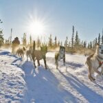 Dogsled Adventure Kiruna - Key Points
