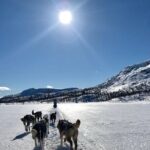 Dogsledding in the Heart of Alaska - An In-Depth Look at the Dogsledding Adventure