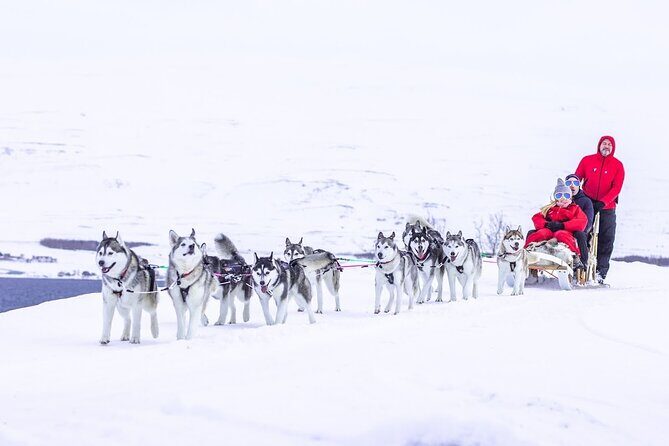 Dogsledding, near Akureyri - Frequently Asked Questions