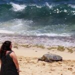 Dole,Garlic Shrimp, Northshore Customizable Group Priced Tour - Who Should Book This Tour?