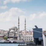 Dolmabahçe Palace with Bosphorus Cruise - Who Will Love This Tour?