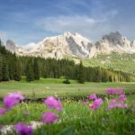 Dolomites Private Tour from Venice - Who Is This Tour Best For?