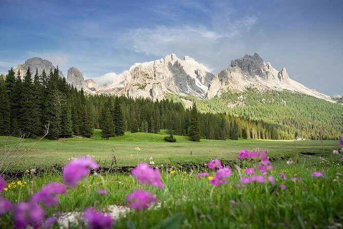 Dolomites Private Tour from Venice - Who Is This Tour Best For?