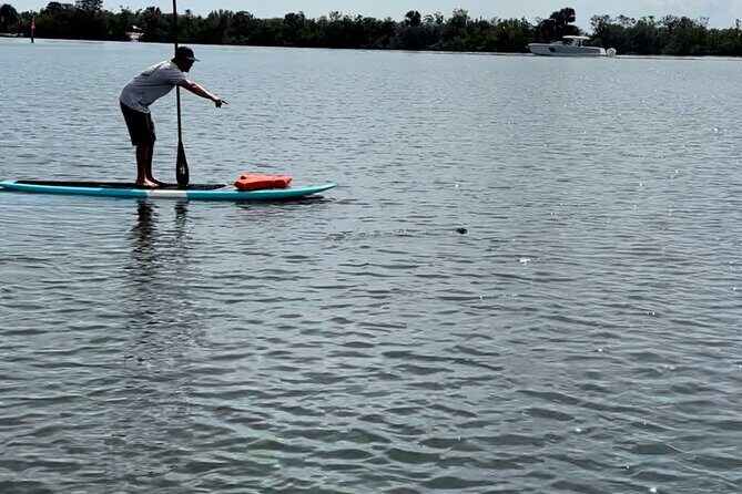 Dolphin and Manatee Adventure Tour of Merritt Island - Why This Tour Is a Great Choice