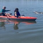 Dolphin and Manatee Adventure tour of Osprey with Florida History - Frequently Asked Questions