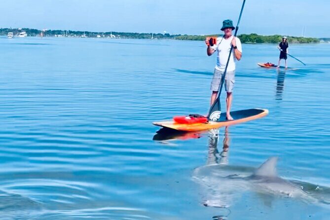 Dolphin and Manatee Kayak and SUP Adventure Tour of Cocoa Beach - The Breakdown of the Tour Experience