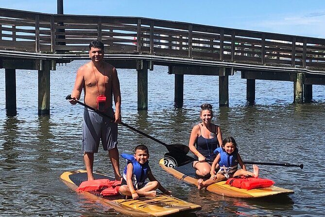Dolphin and Manatee Stand Up Paddleboard Tour in Daytona Beach - The Experience and Its Value