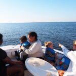 Dolphin cruise in Santa Rosa Beach - The Sum Up