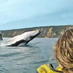 Dolphin Kayak Tour & Beach 4X4 National Park Tour (Private) - The Value of the Tour