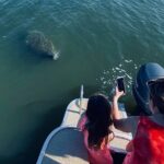 Dolphin/Manatee Pontoon Boat Tour with Local Expert - A Detailed Look at the Experience