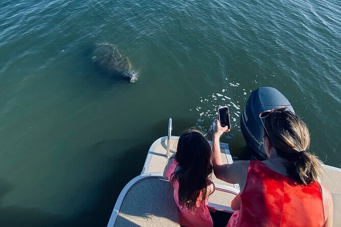 Dolphin/Manatee Pontoon Boat Tour with Local Expert - A Detailed Look at the Experience