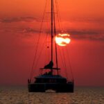 Dolphin Morning Watching & Snorkeling + open bar + 1 day Hop-On Hop-Off Fun - Who Will Love This Tour?