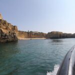 Dolphin Safari and Cave Tour in Vilamoura - Final Thoughts