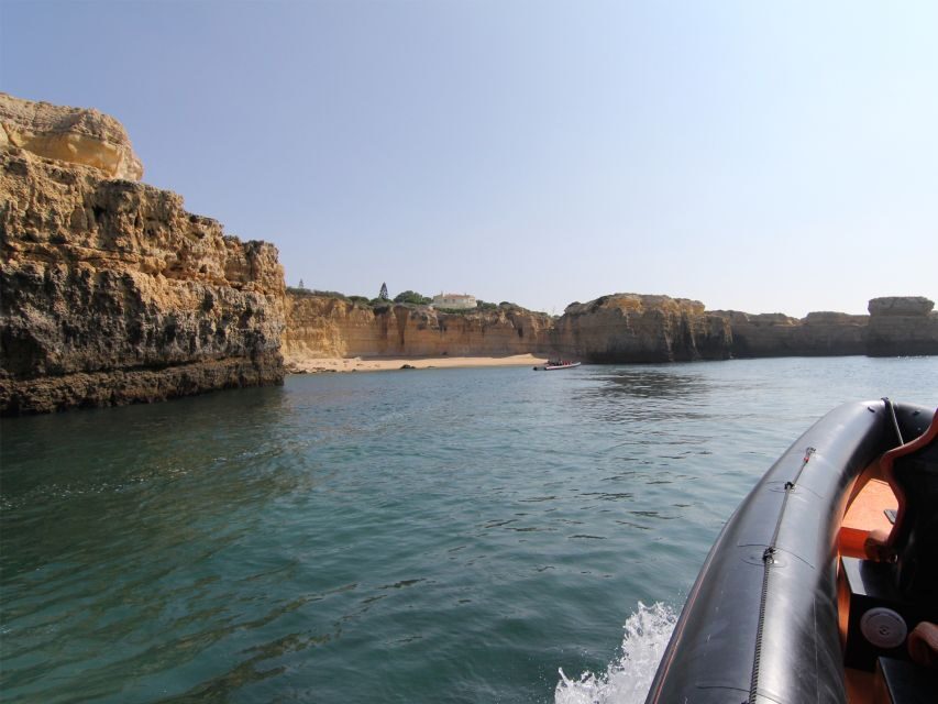 Dolphin Safari and Cave Tour in Vilamoura - Final Thoughts
