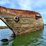 Dolphin Sanctuary Kayak Tour Adelaide - Practical Tips for Future Travelers