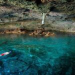 Dolphin, Sea Cave & Captain Cook Snorkel Combo in Kealakekua Bay - What the Reviews Tell Us
