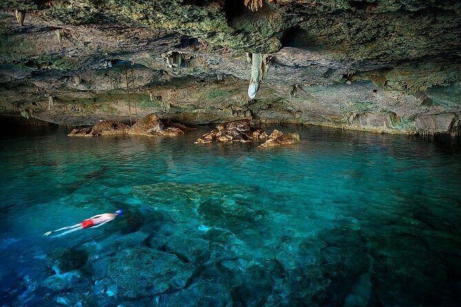 Dolphin, Sea Cave & Captain Cook Snorkel Combo in Kealakekua Bay - What the Reviews Tell Us