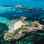 Dolphin, Sealion & Wildlife Snorkel Adventure - Practical Details and What to Expect