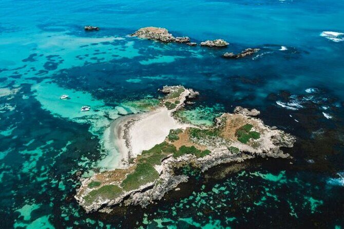 Dolphin, Sealion & Wildlife Snorkel Adventure - Practical Details and What to Expect