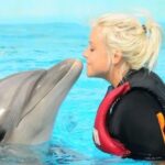 Dolphin Show Tour with Transfer from Alanya & Side - In-Depth Review of the Dolphin Show Tour