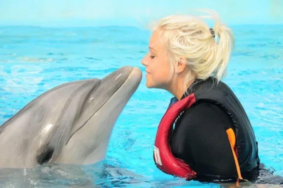 Dolphin Show Tour with Transfer from Alanya & Side - In-Depth Review of the Dolphin Show Tour