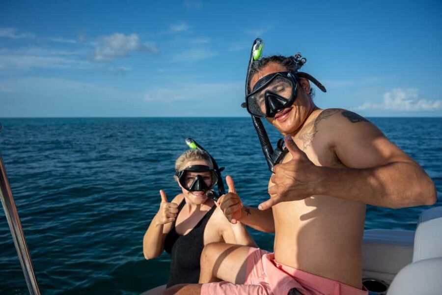 Dolphin & Snorkeling Key West - Who Will Enjoy This Tour?