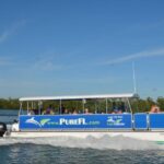 Dolphin Watch/Eco Cruise - Final Thoughts