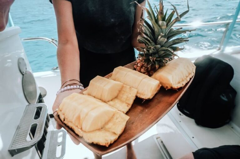 Dolphin Watch Snorkel and BBQ in Kona, Big Island - The Experience in Detail: What to Expect