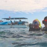 Dolphin Watching and Snorkeling Adventure in Key West - An In-Depth Look at the Experience