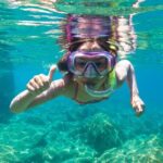 Dolphin watching and snorkeling in Figarolo - Exploring Sardinia’s Marine Wonders: A Detailed Look