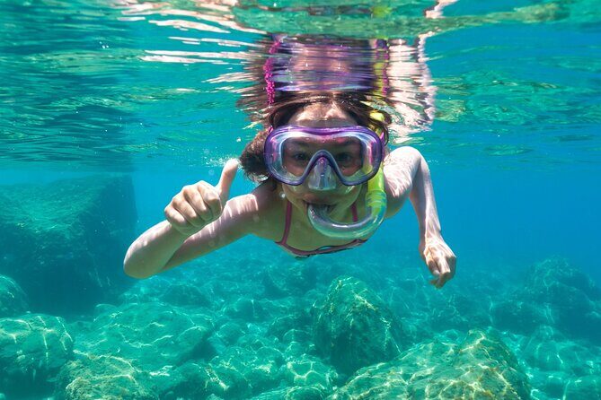 Dolphin watching and snorkeling in Figarolo - Exploring Sardinia’s Marine Wonders: A Detailed Look