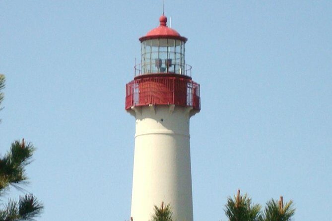 Dolphin Watching around Cape May - Who Will Love This Tour?