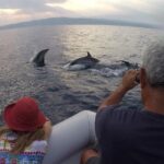 Dolphin Watching & Conservation - Dolphins in the Gulf of Catania - What’s Included and What’s Not