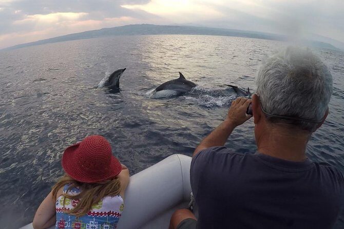 Dolphin Watching & Conservation - Dolphins in the Gulf of Catania - What’s Included and What’s Not