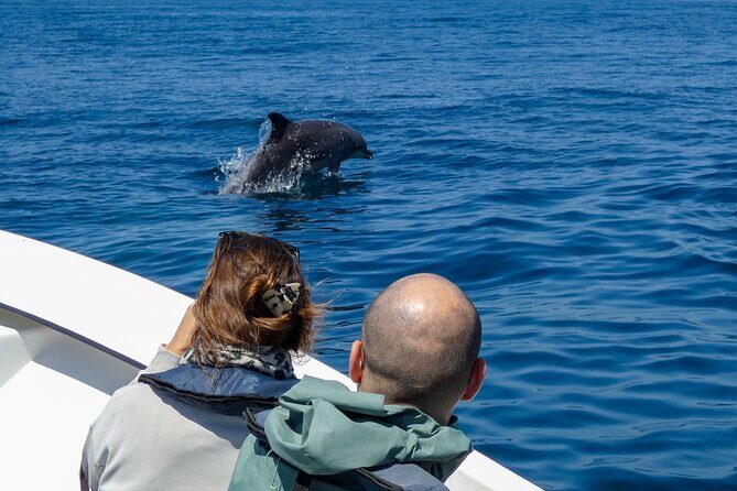 Dolphin Watching with Biologist in Arrábida Natural Park - Authentic Reviews and Insights