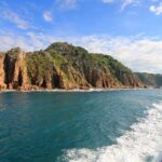 Dolphin & Whale Cruise - FAQ