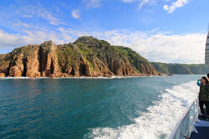 Dolphin & Whale Cruise - FAQ