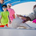 Dolphin Wildlife Cruise Fort Myers Beach - A Detailed Look at the Dolphin Wildlife Cruise in Fort Myers Beach