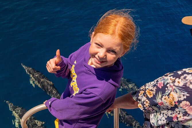 Dolphin & Wildlife Encounters - The Sum Up