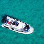 Dolphins Rib boat (up 6 people) Private - Final Thoughts